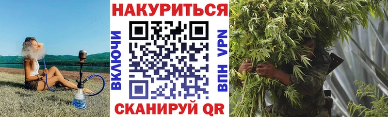 Конопля гибрид Льгов